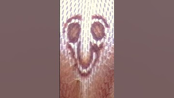 Watch a strange thing on the back of a cobra #shorts #hope