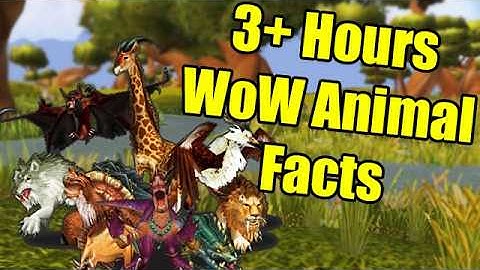 3+ Hours of WoW Animal Facts to Fall Asleep To | World of Warcraft