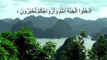 (الذين آمنوا بآياتنا وكانوا مسلمين) للقارىء عبدالله الموسى