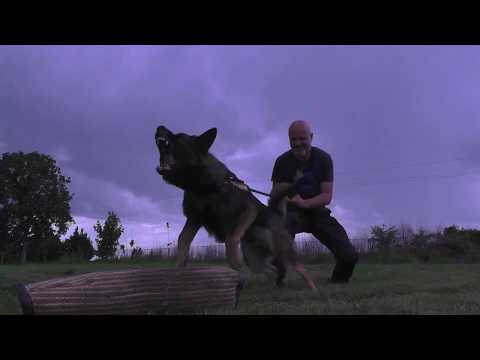 "Unski smaragdi" German Shepherd kennel