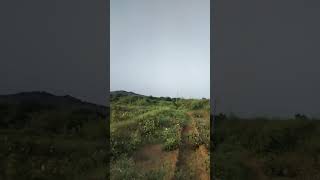 ગુજરાત માં ખતરો ઉભો થયો છે ફરીથી #gujarat #vavazodu #news #breakingnews #khatra #danger