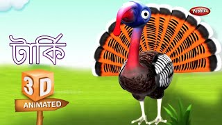 Interesting Bird Facts : Turkey বাংলা গান | Turkey Bird Essay in Bengali | Turkey Bird Song, Story
