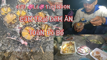 Câu mực lá trên gềnh bãi Mũi Dinh .Cắm trại và ăn nhiều hải sản cực bổ dưỡng. Cá nóc nhím. Nhum sọ