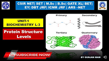 TARGET CSIR NET DEC.2025 | UNIT-1 BIOCHEMISTRY L-3 | PROTIENS STRUCTURE LEVEL  #csirnet2025 #ifas