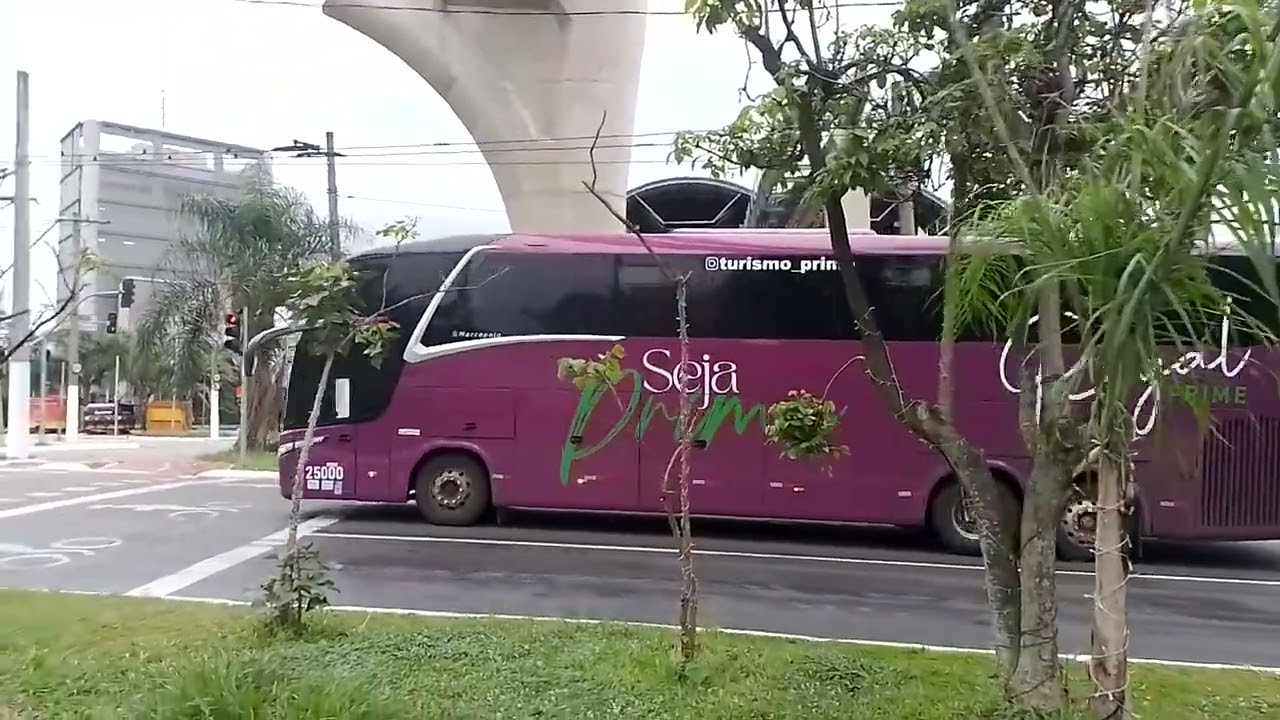 são  Mateus  zona  leste  sp 