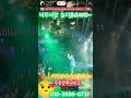 🌟수유샴푸나이트 둘리🌟