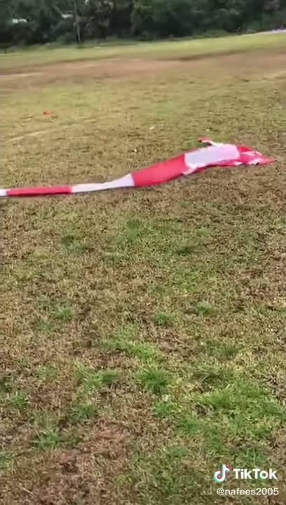 Again 850 feet snake kite💓😱