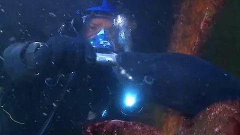 After-Dark Conger Eel Encounter | Deadly 60 | UK |...