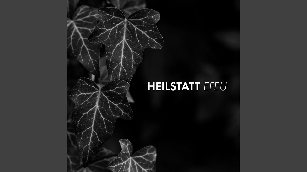Efeu auf YouTube ansehen Efeu auf YouTube ansehen