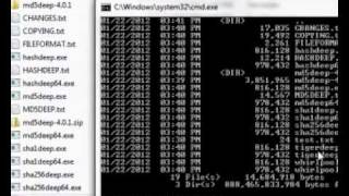 Installing and Using MD5Deep