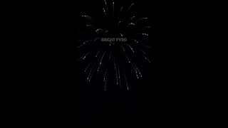 5 Inch White strobe willow
