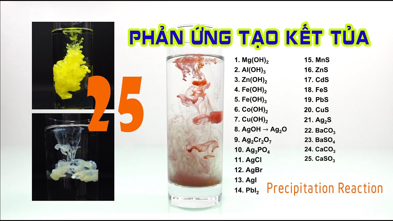 25 Phản ứng tạo kết tủa (25 Precipitation reactions)