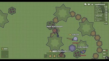 Moomoo.io I kill a hacker + base raid!