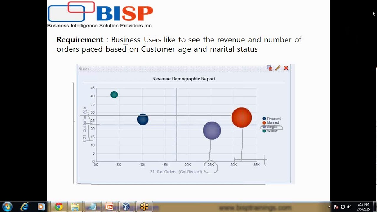 OBIEE Advanced Data Visualization Revenue Demograp