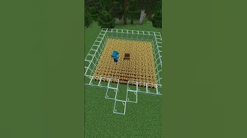 [Minecraft] Automatic Villager Wheat Farm how to Build #shorts