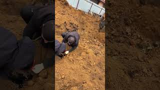 Buried A In A Mercedes  shorts car automobile