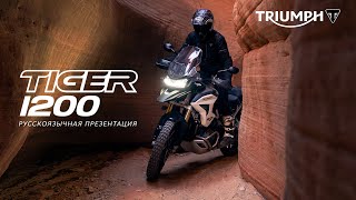 Презентация: TRIUMPH TIGER 1200 2022 года