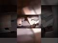 digital sirkuit template prisma3d #fyppage #foryou #fypシ゚viral #fyp #funnyvideo