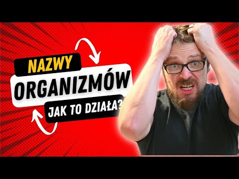 Dlaczego system klasyfikacji stworzony przez Karola Linneusza został określony jako system naturalny?