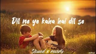 Dil ne ye kaha hai dil se lofi song 🤍 || slowed x reverb || Alka Yagnik song || use headphones 🎧