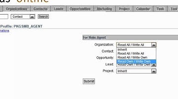 CRM Implementation User Roles & Access