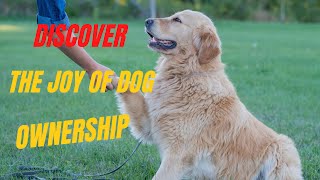 Discover the Joy of Dog Ownership  |  Animal Species