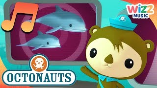 Adorable Dolphins | Songs for Kids | Octonauts | Wizz Music