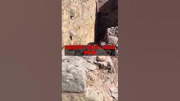 Structural Engineering Key to Holy Apostles Endurance