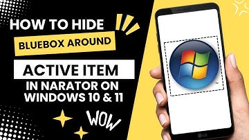 HOW TO HIDE BLUE BOX AROUND ACTIVE ITEM IN NARRATOR ON WINDOWS 11_10 (2024)