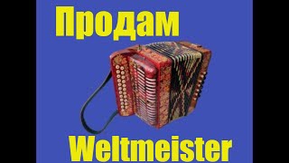 Паша гармонист - Продам гармонь Weltmeister