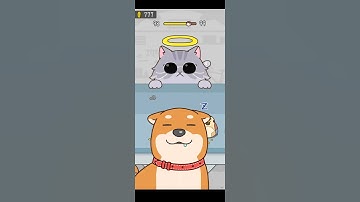 Hide and seek cat escape gameplay walkthrough ( level 99 ) Ninja