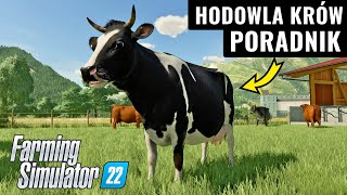 Krowy w FS22 - PORADNIK