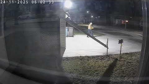 Composting Chronicles: Nuisance Neighbour Edition (23  to 29 Nov 2025)