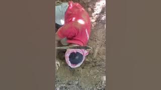 Download lagu Thahkhoing chau lai mo.. 