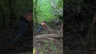 Man Tweaking Off Cocaina In The Jungle