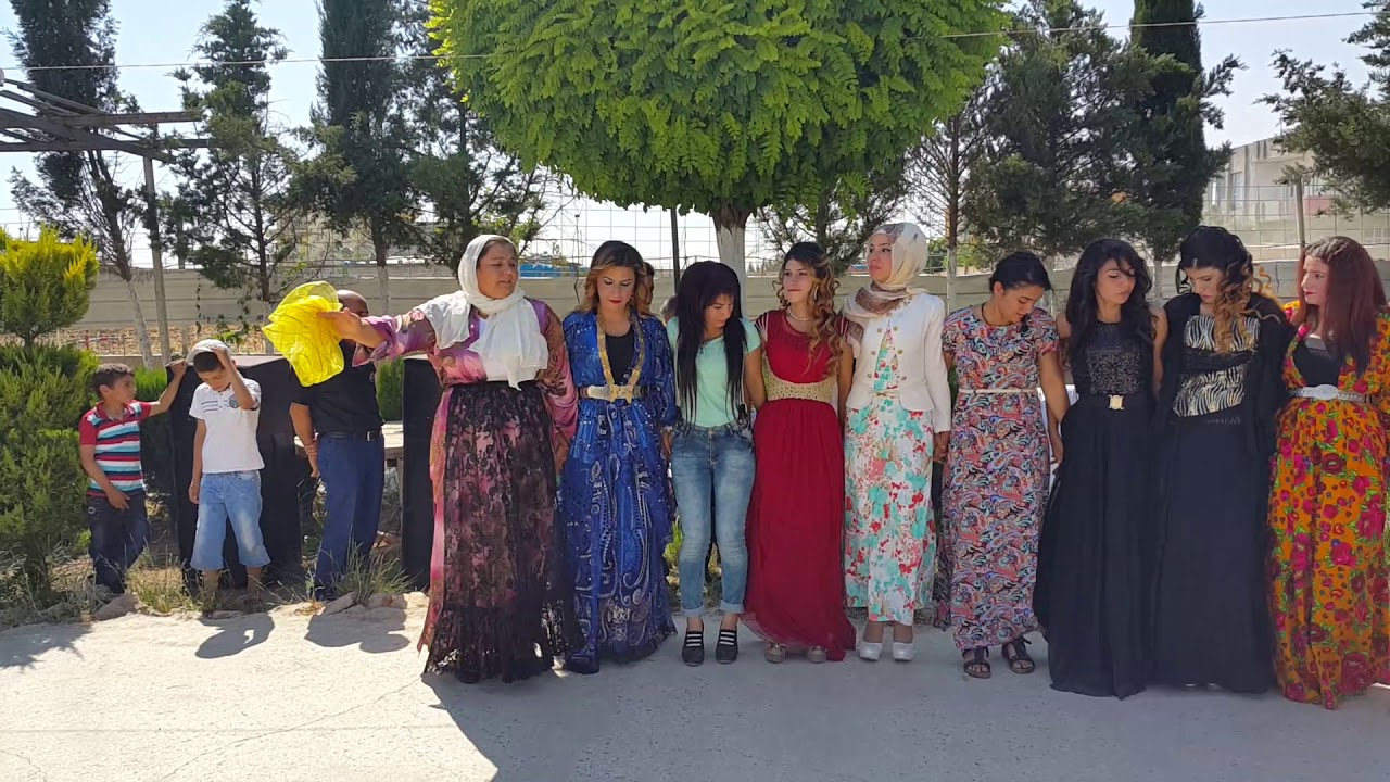 Şewko Halayı  böyle çekilir (Suruç aligör ) #şewko...