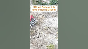 How to Grow Grass in Only a FEW Days #garden #lawncare #lawn #lawnmaintenance