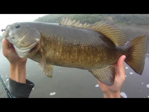 Lure Fishing #82 - Spillway Rock Bass Night Fishing and River
