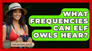 What Frequencies Can Elf Owls Hear? - Bird Watching Diaries