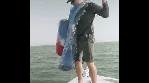 7 Seas Media Group - Barracuda Cast Nets