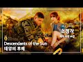 초청작 - 태양의 후예 (The Most Popular Foreign Drama of the Year - The Descendants of the Sun)