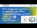 Multidimensional electron microscopy in the stem scanning diffraction and eels workshop
