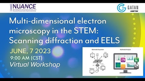 Multidimensional Electron Microscopy in the STEM: Scanning Diffraction and EELS Workshop
