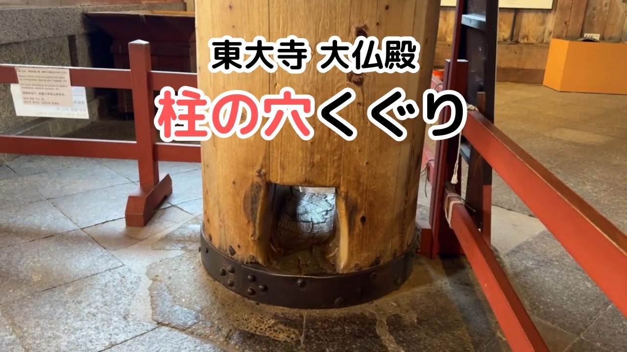 奈良 大仏 鼻 の 穴