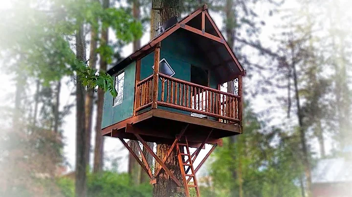 Taran builds a treehouse