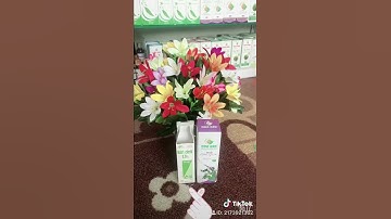 Pha tinh dầu ngũ sắc trị viêm xoang