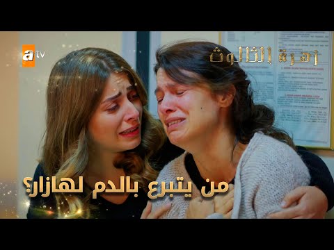 من يتبرع بالدم لهازان الحلقة 71 زهرة الثالوث