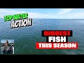 GoPro Captured Landing Our Biggest Fish