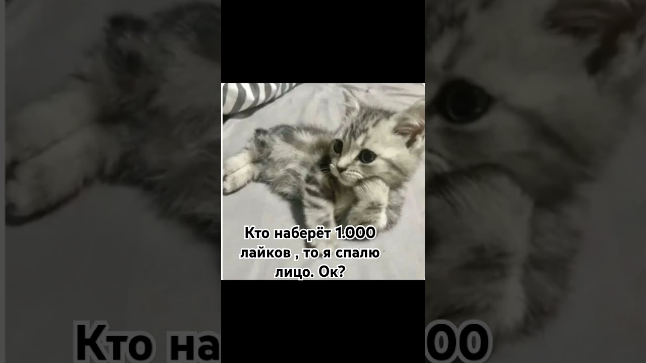 спорим вы не можете набрать 1К лайков 