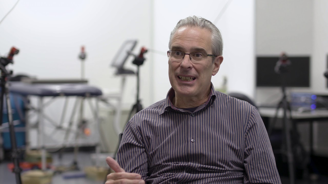 SBMS Research Theme - Functional and comparative anatomy